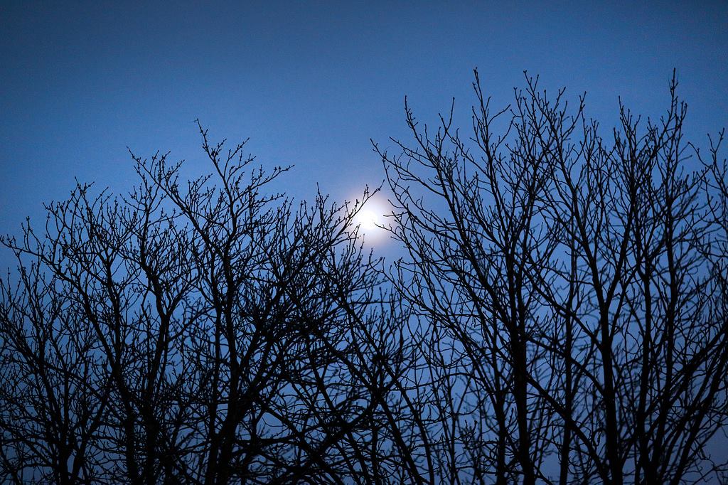 12764839_10153496159001523_2100291094113542969_o