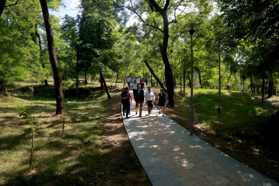 13336054_10154239505191926_6097798830716439190_n