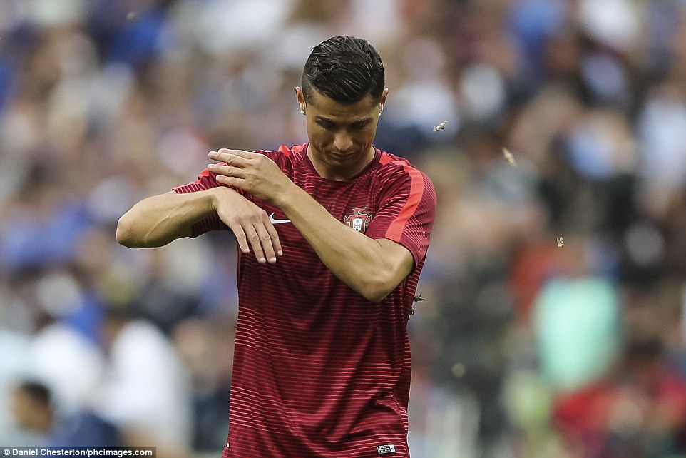 3623632D00000578-3683490-Ronaldo_was_clearly_not_a_fan_of_the_moths_as_he_tried_to_prepar-a-11_1468225804249