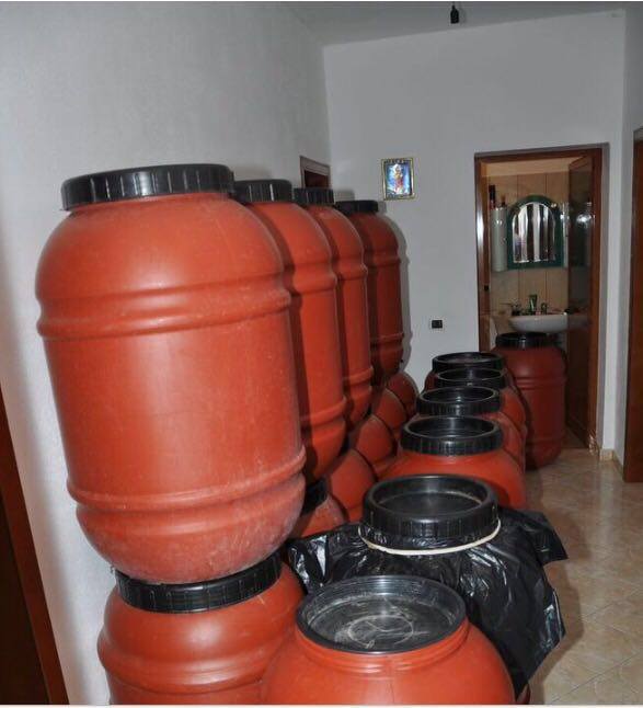 13933094_10208518038262160_2012774219_n