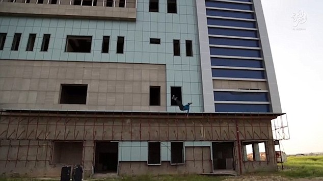 371c47f900000578-0-image-a-76-1470916345410_1470922425-9401972