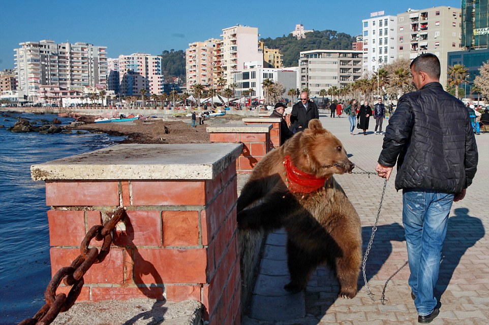 Albania, Durres | 2015 12 20 | Photo Bear Jeta on the beach in Durres, Albania.