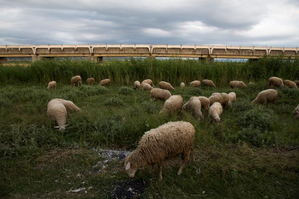 john-wendle-balkans-vjosa-river-1