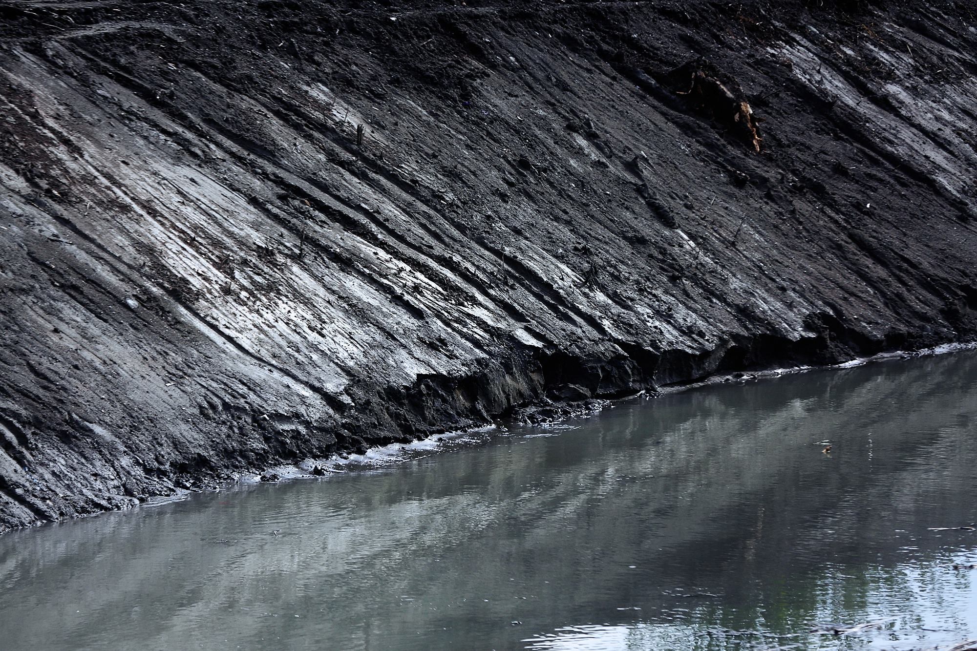 14352492_10154024667196523_5303499893118688917_o