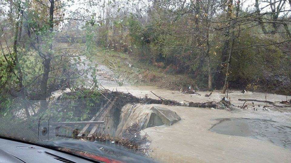 14907254_1503042843055839_5570268033250148640_n