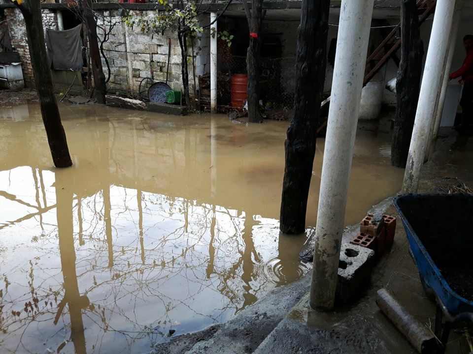 14925251_1503037249723065_92624298276769492_n