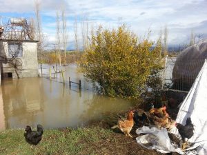 shkoder-permbytje-10